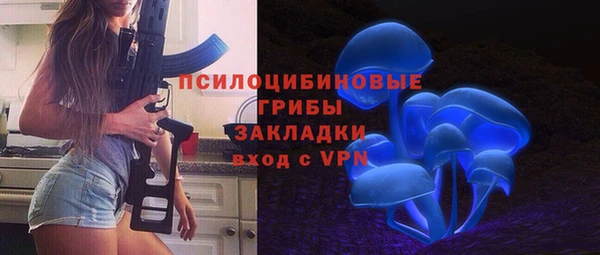 шишки Алексеевка