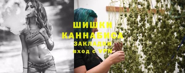 шишки Алексеевка