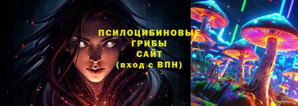 шишки Алексеевка